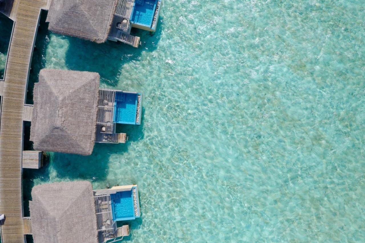 Курортный комплекс & Me Maldives - Adults Only - Premium 5*